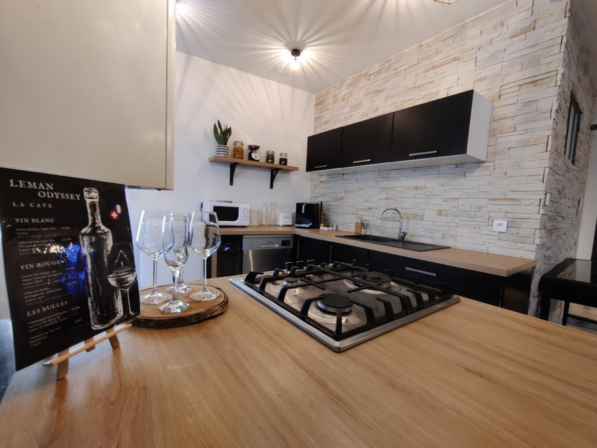 Appartement Hyper Centre Evian - Leman Odyssey ภายนอก รูปภาพ